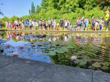 Náhodná fotogalerie